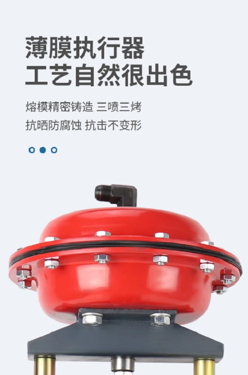 進口自力式調節(jié)閥安裝圖